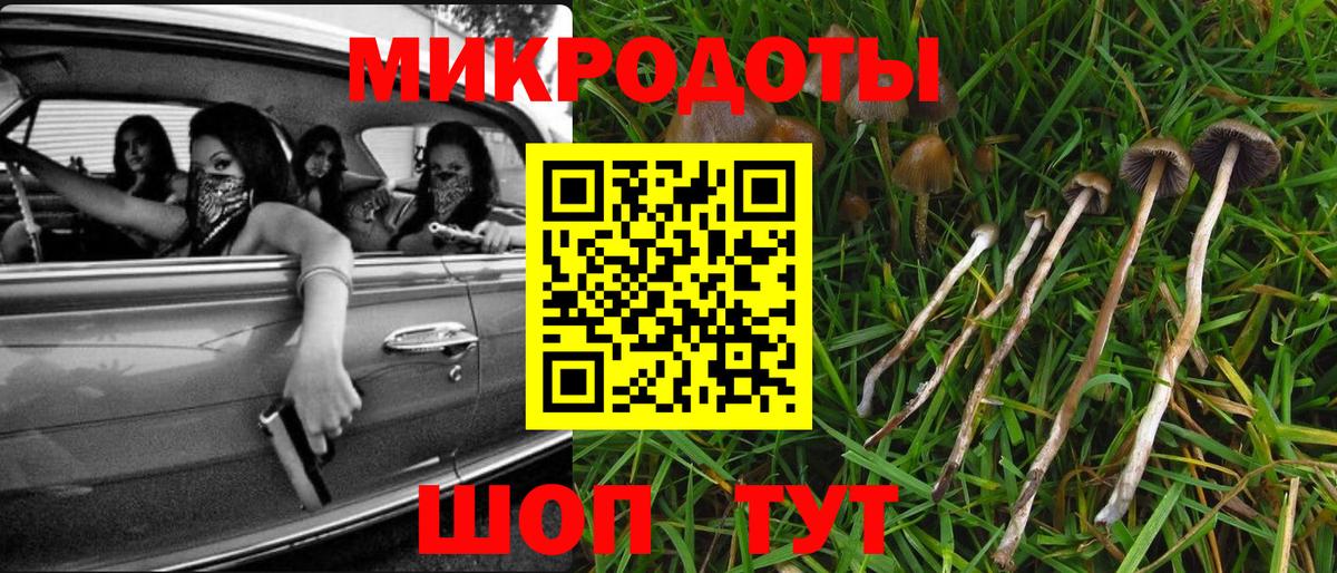 Галлюциногенные грибы GOLDEN TEACHER  Вход с VPN  Ачинск 