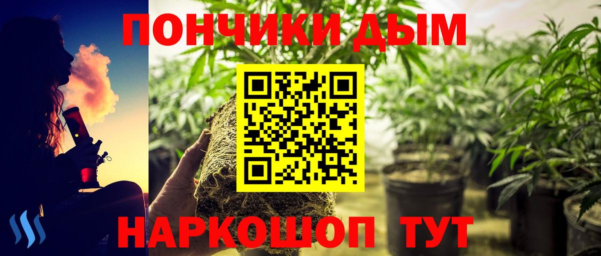 Шишки марихуана сатива Ачинск
